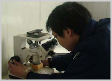 金相分析儀 金相分析儀